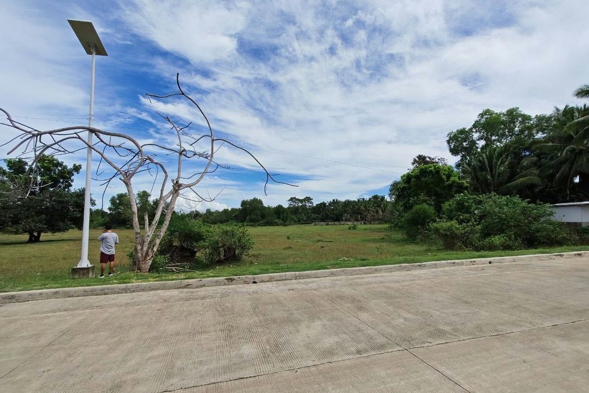 Land for Sale in Bolod, Panglao, Bohol – photo 6