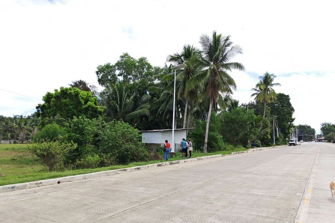 Land for Sale in Bolod, Panglao, Bohol – photo 7
