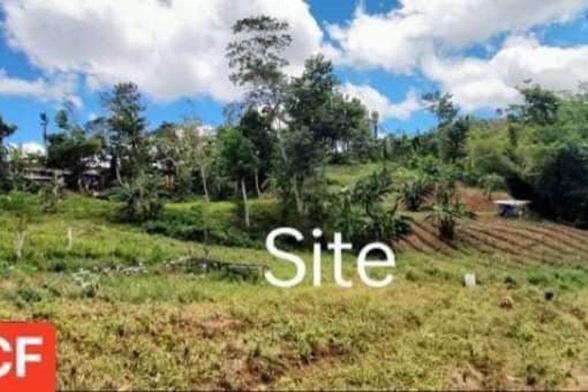Land for Sale in Bonbon, Cebu City, Cebu – photo 3