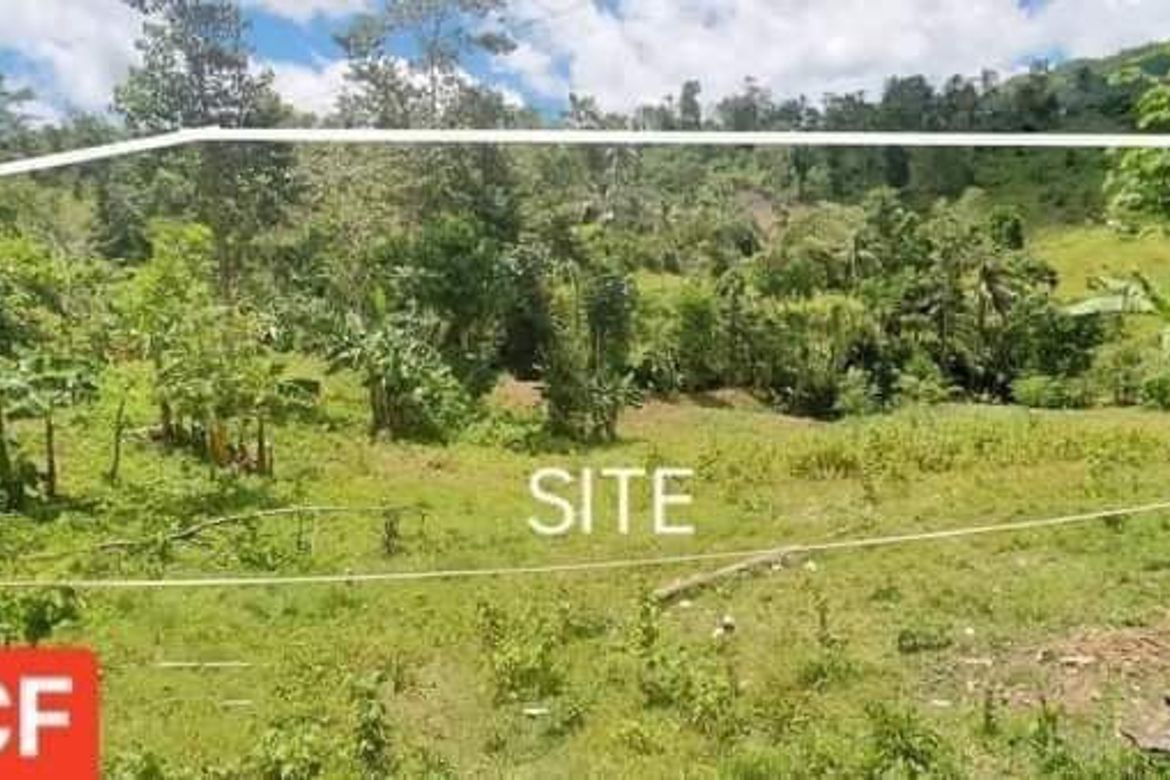Land for Sale in Bonbon, Cebu City, Cebu – photo 5