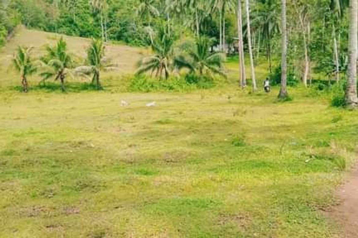 Land for Sale in Bonbon, Cebu City, Cebu
