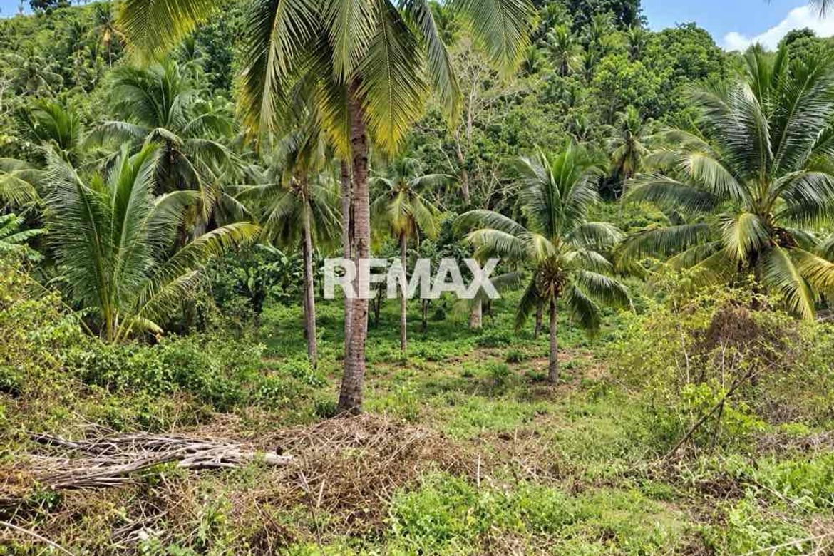 Land for Sale in Bonbon, Opol, Misamis Oriental – photo 3