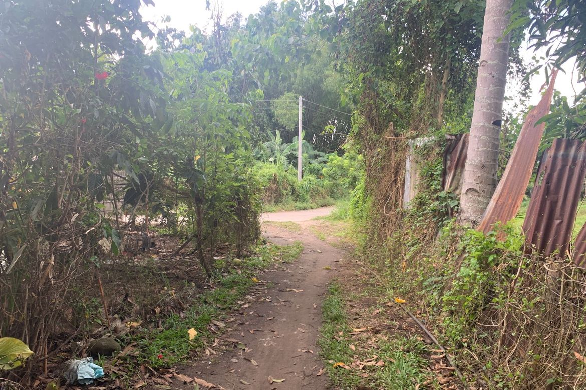 Land for Sale in Bong-Ao, Valencia, Negros Oriental – photo 3
