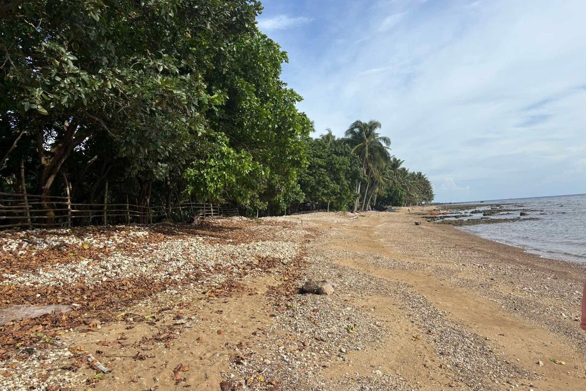Land for Sale in Bongalonan, Basay, Negros Oriental – photo 2