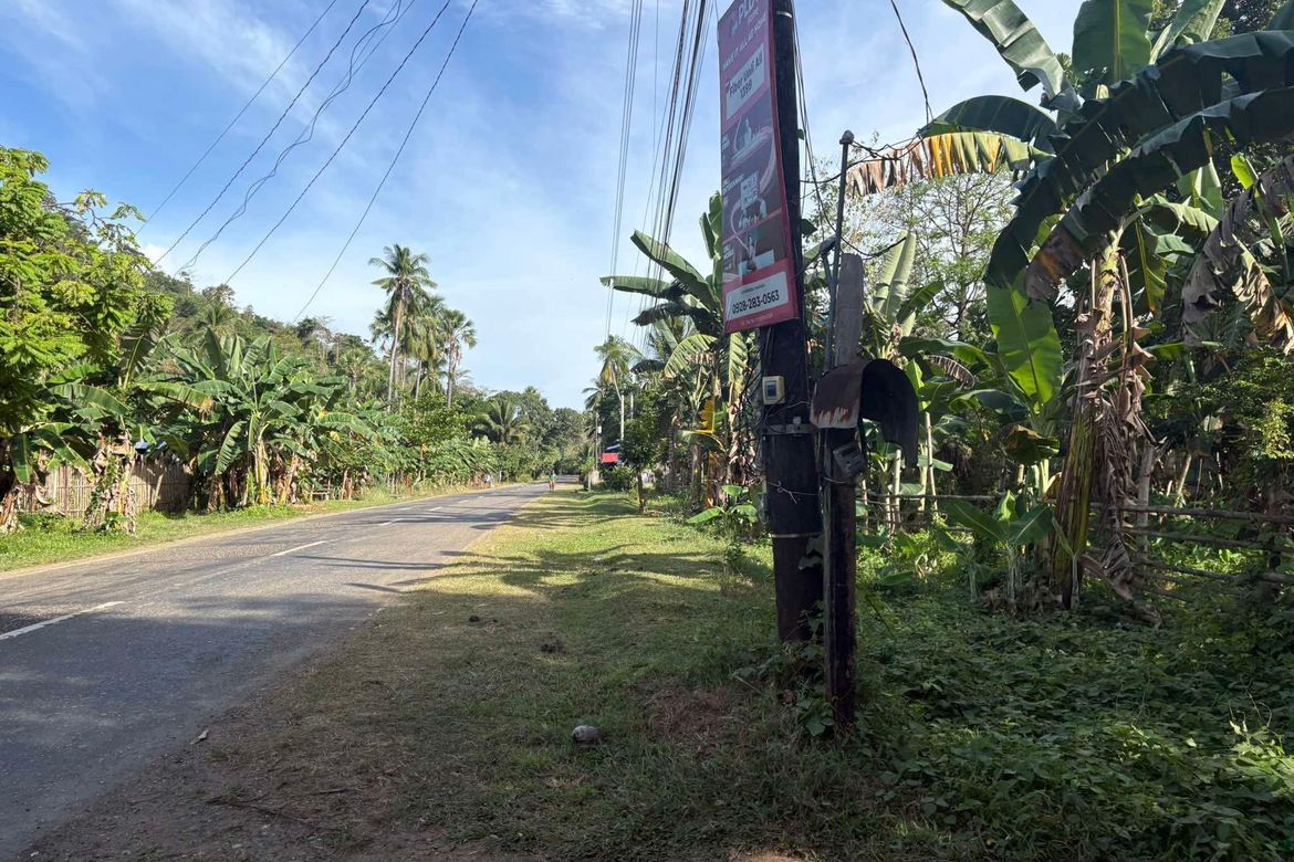 Land for Sale in Bongalonan, Basay, Negros Oriental – photo 3