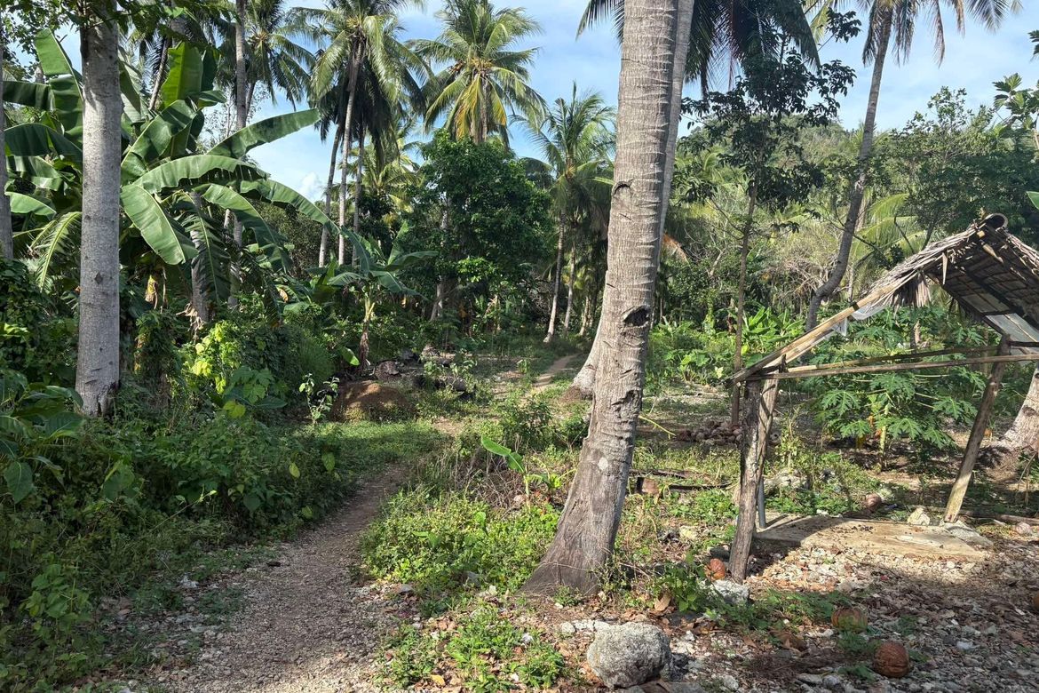 Land for Sale in Bongalonan, Basay, Negros Oriental – photo 4