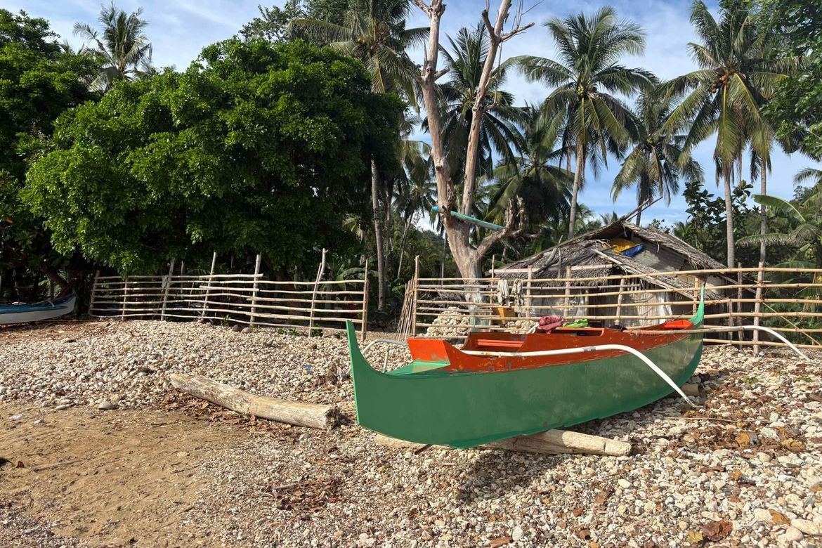 Land for Sale in Bongalonan, Basay, Negros Oriental – photo 7