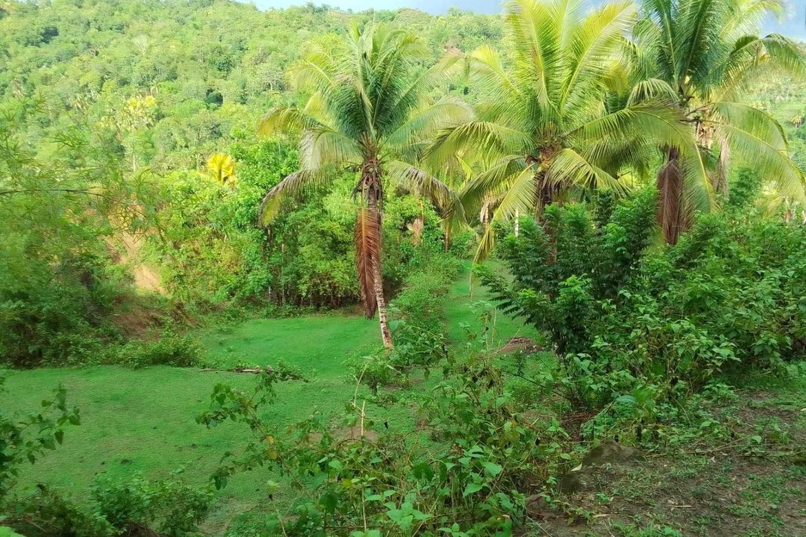 Land for Sale in Bongbongan I-Ii, Hamtic, Antique – photo 2
