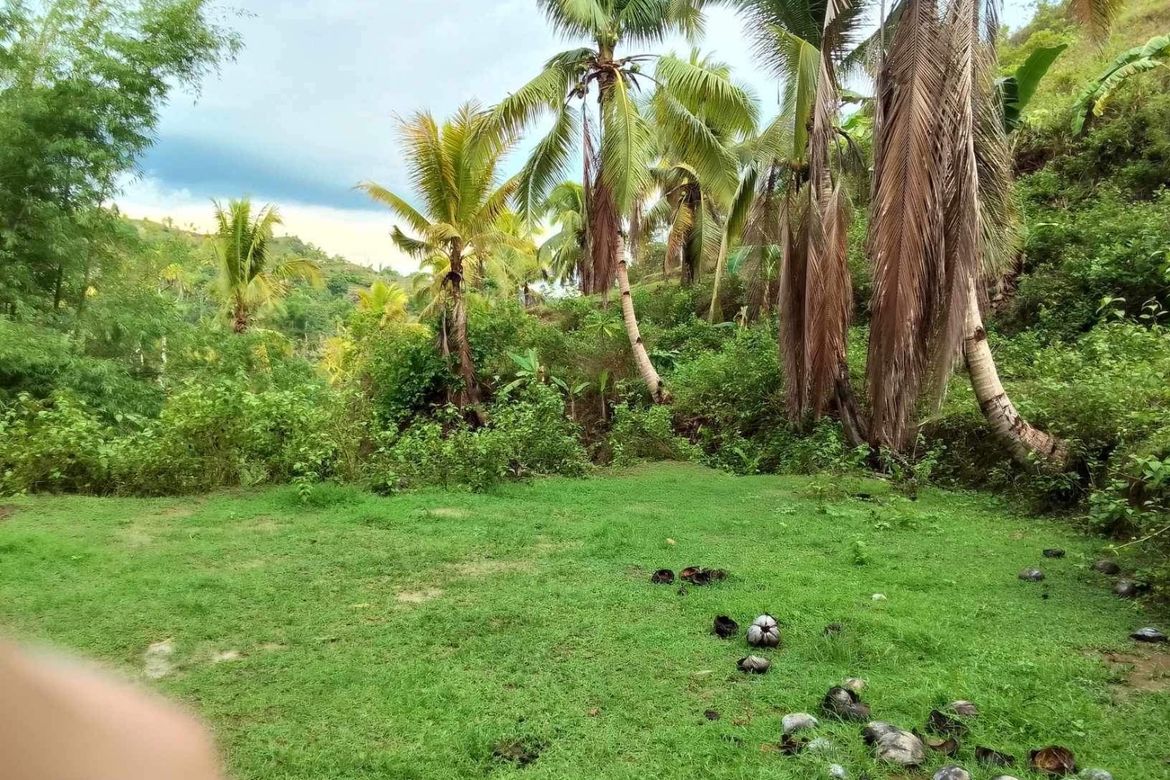 Land for Sale in Bongbongan I-Ii, Hamtic, Antique – photo 3