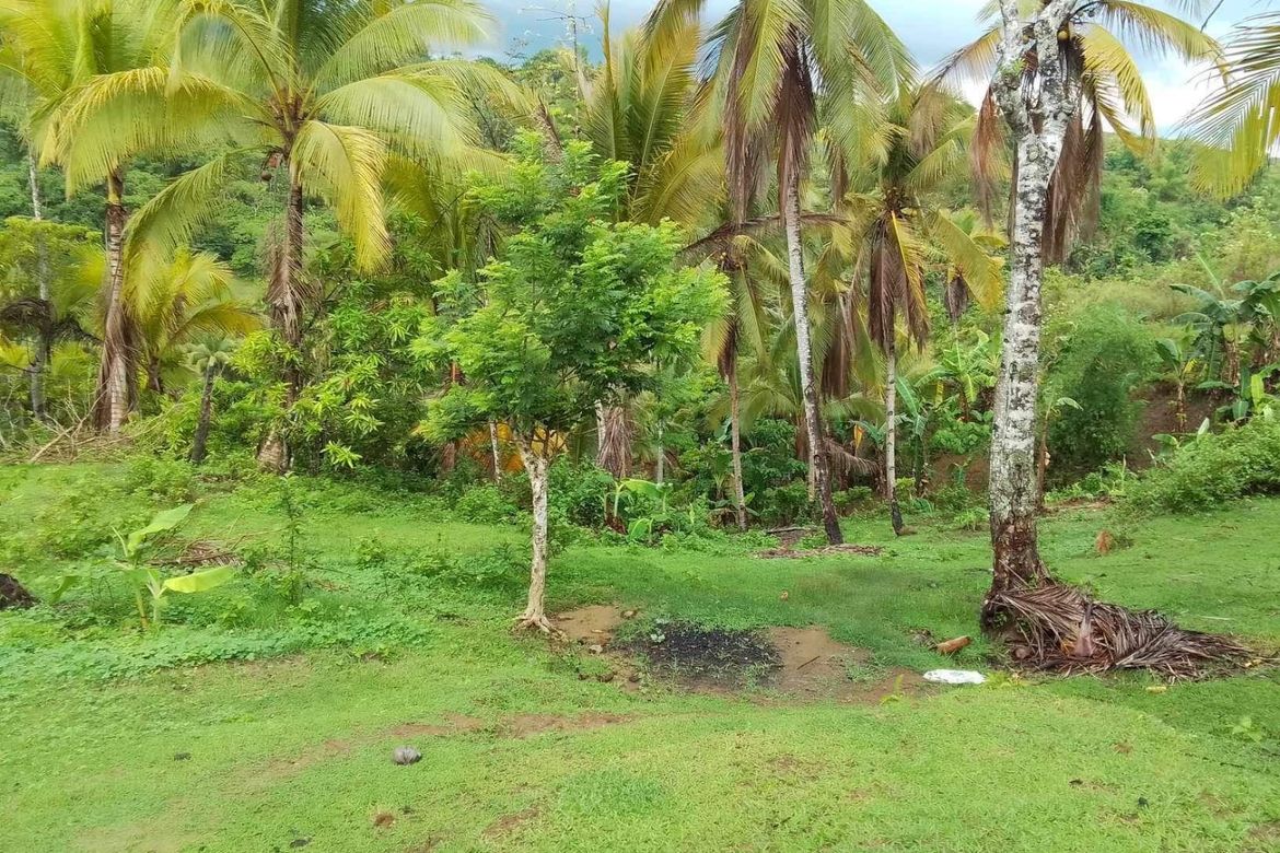 Land for Sale in Bongbongan I-Ii, Hamtic, Antique – photo 5