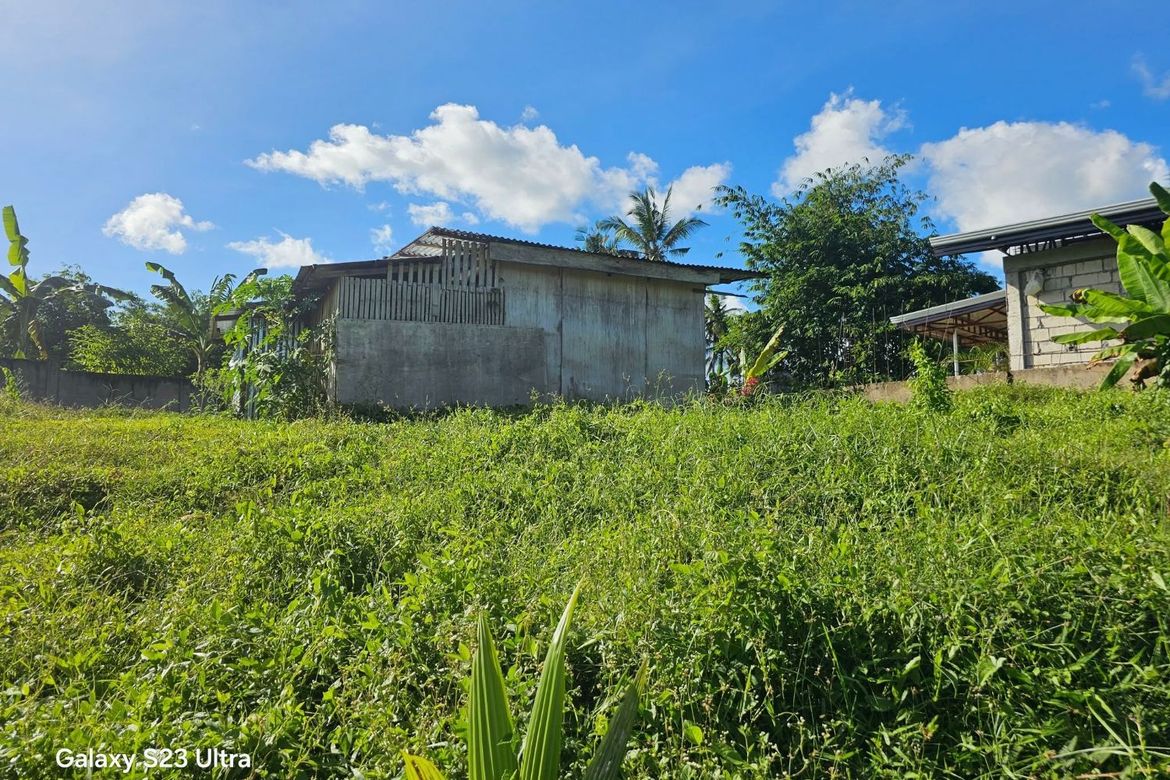 Land for Sale in Bontud, Clarin, Bohol