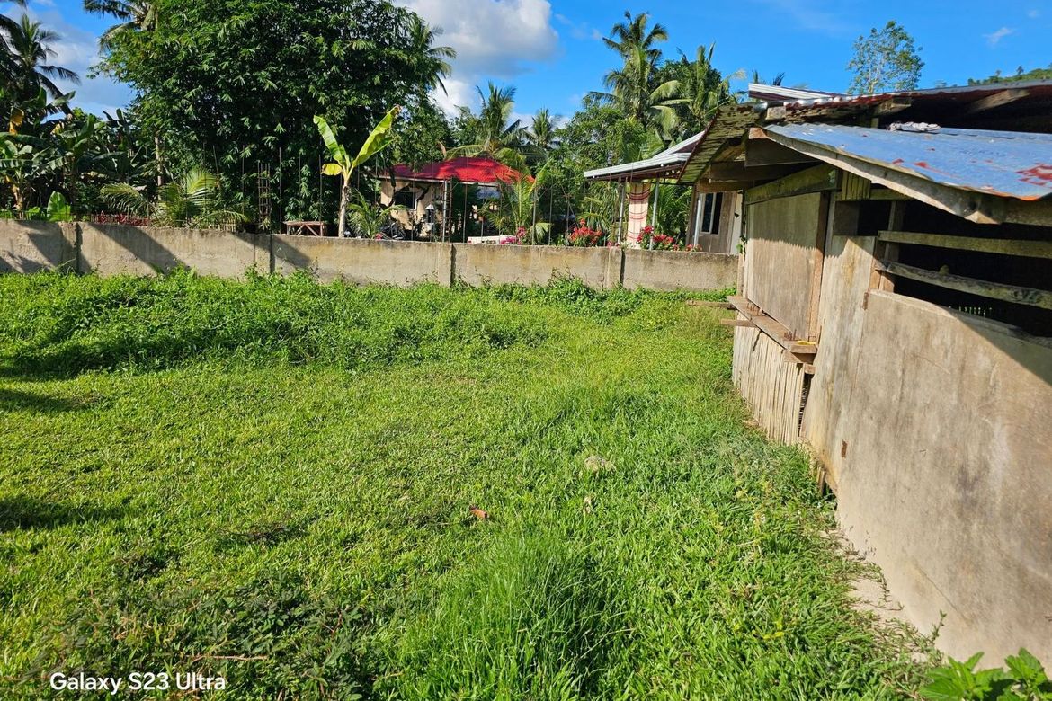 Land for Sale in Bontud, Clarin, Bohol – photo 2