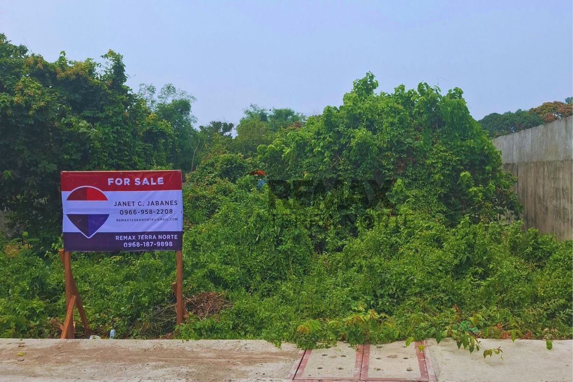 Land for Sale in Bonuan Boquig, Dagupan, Pangasinan – photo 2