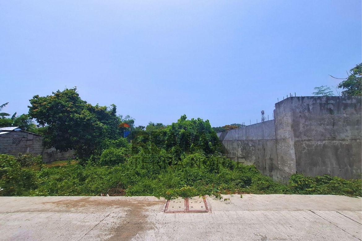 Land for Sale in Bonuan Boquig, Dagupan, Pangasinan – photo 6