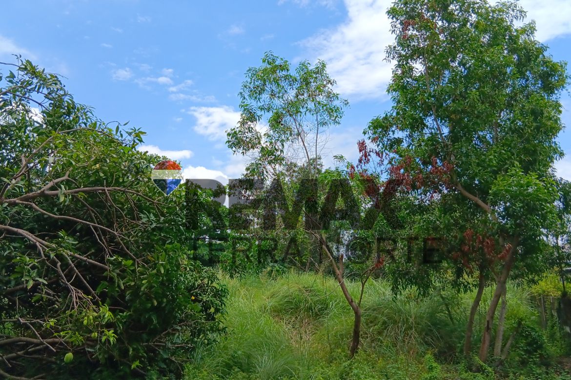 Land for Sale in Bonuan Gueset, Dagupan, Pangasinan – photo 3