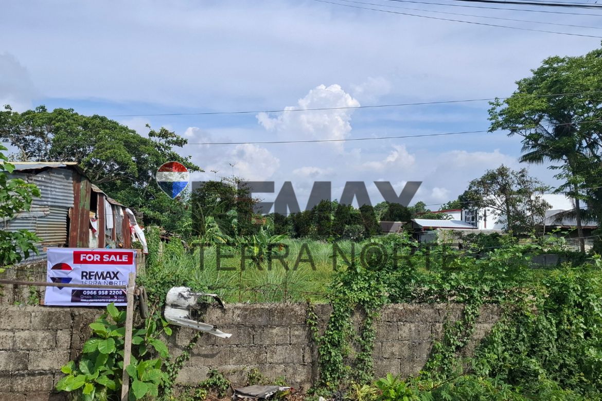 Land for Sale in Bonuan Gueset, Dagupan, Pangasinan – photo 4