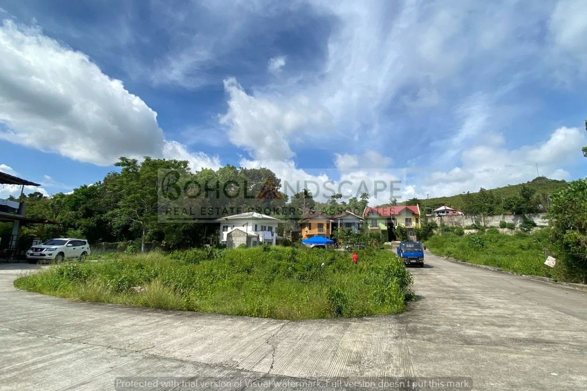 Land for Sale in Bool, Tagbilaran, Bohol – photo 3
