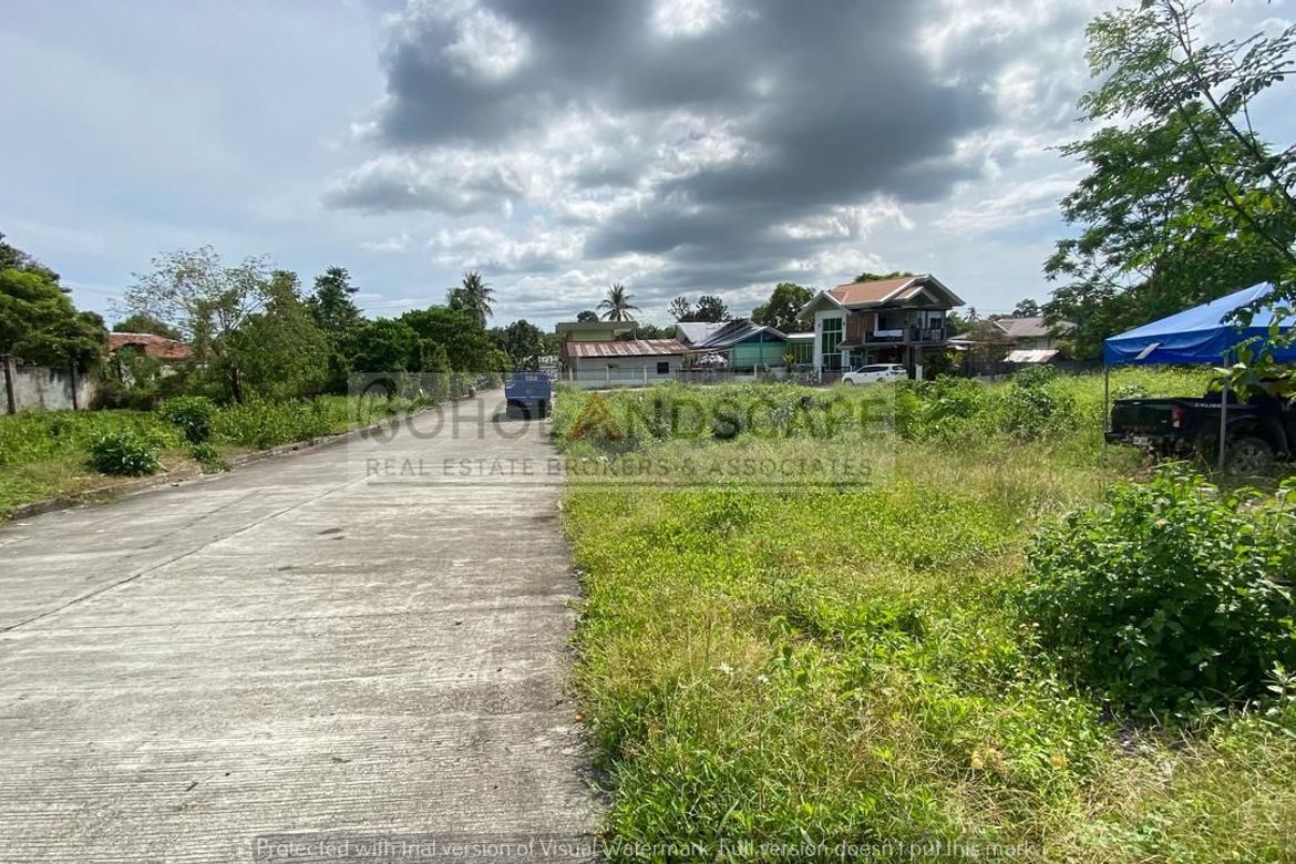 Land for Sale in Bool, Tagbilaran, Bohol – photo 4
