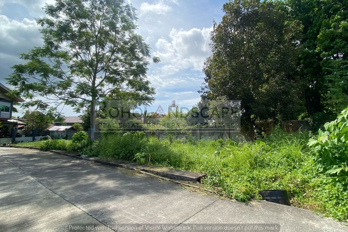 Land for Sale in Bool, Tagbilaran, Bohol – photo 7