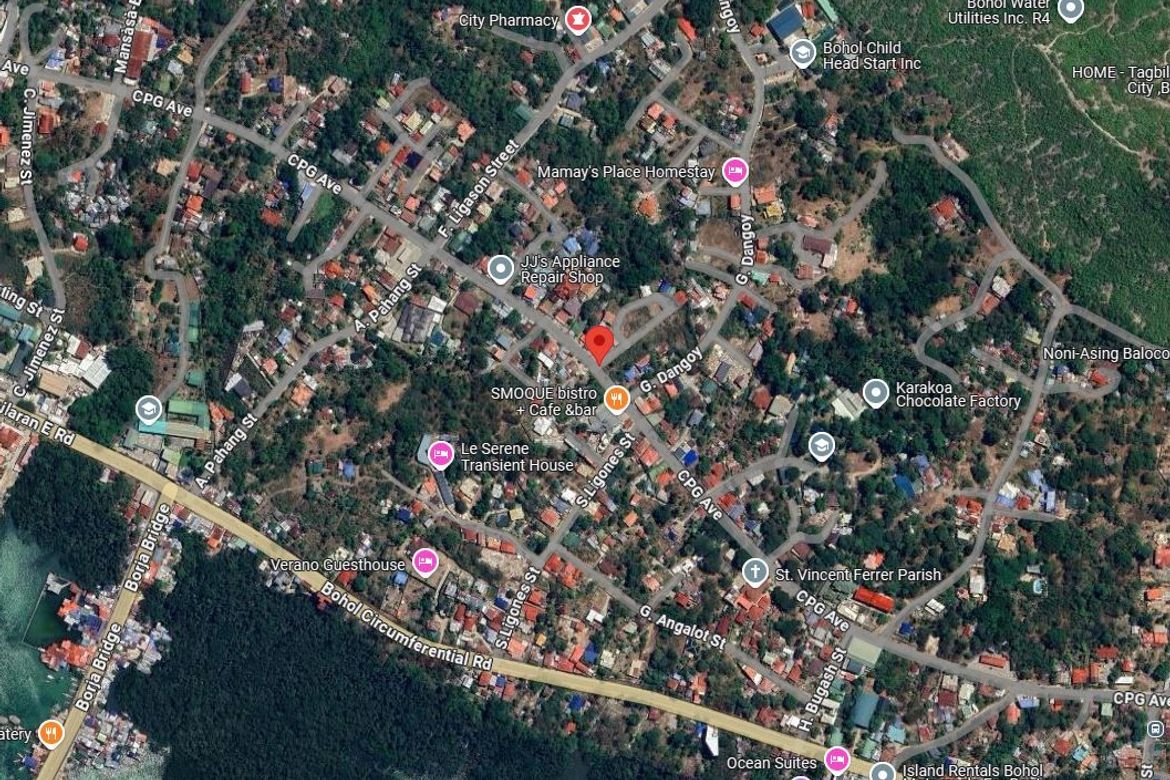 Land for Sale in Bool, Tagbilaran, Bohol – photo 8