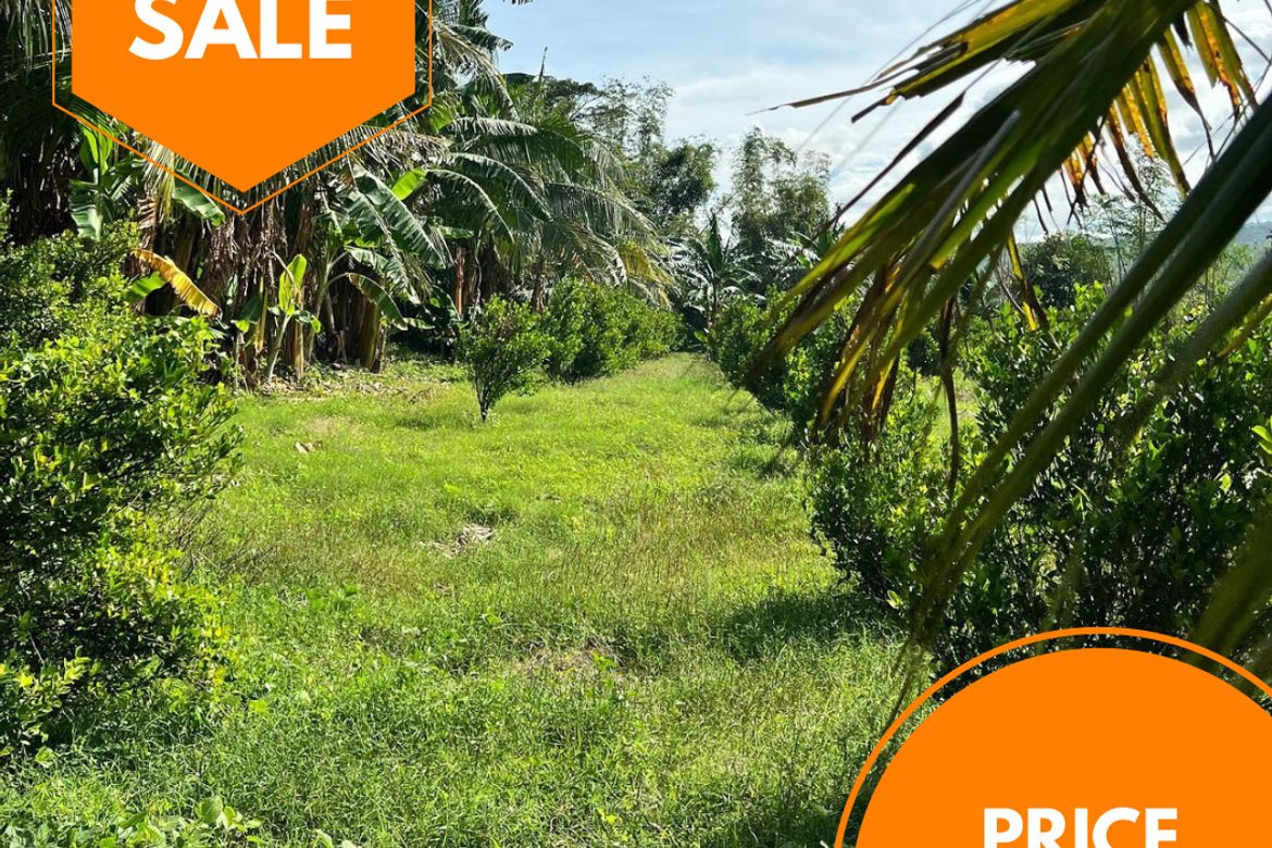 Land for Sale in Boot, Tanauan, Batangas