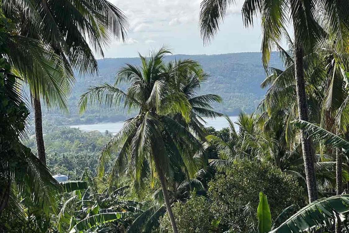 Land for Sale in Boot, Tanauan, Batangas – photo 2