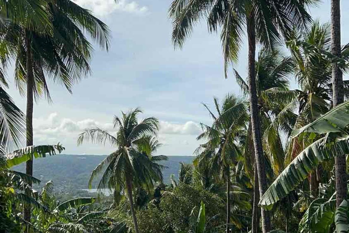 Land for Sale in Boot, Tanauan, Batangas – photo 3