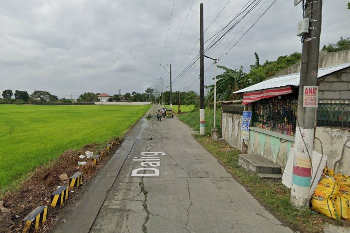 Land for Sale in Borol 2nd, Balagtas, Bulacan – photo 2
