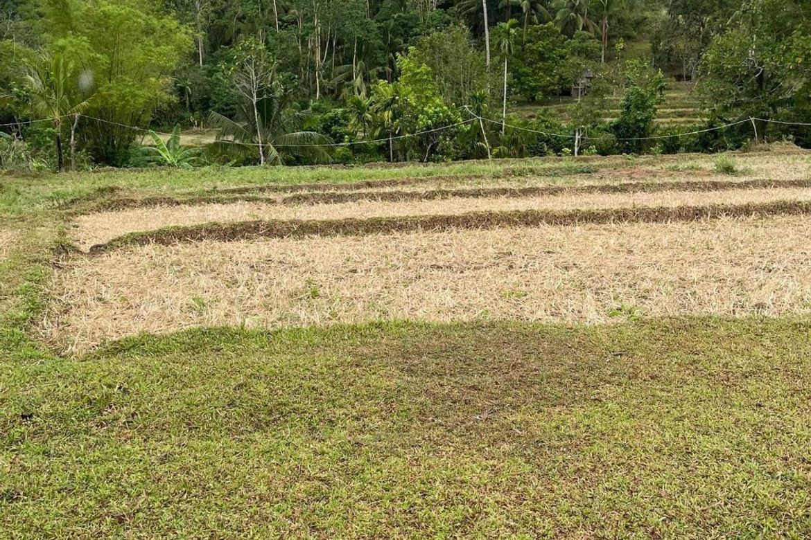 Land for Sale in Botbot, Hamtic, Antique – photo 3
