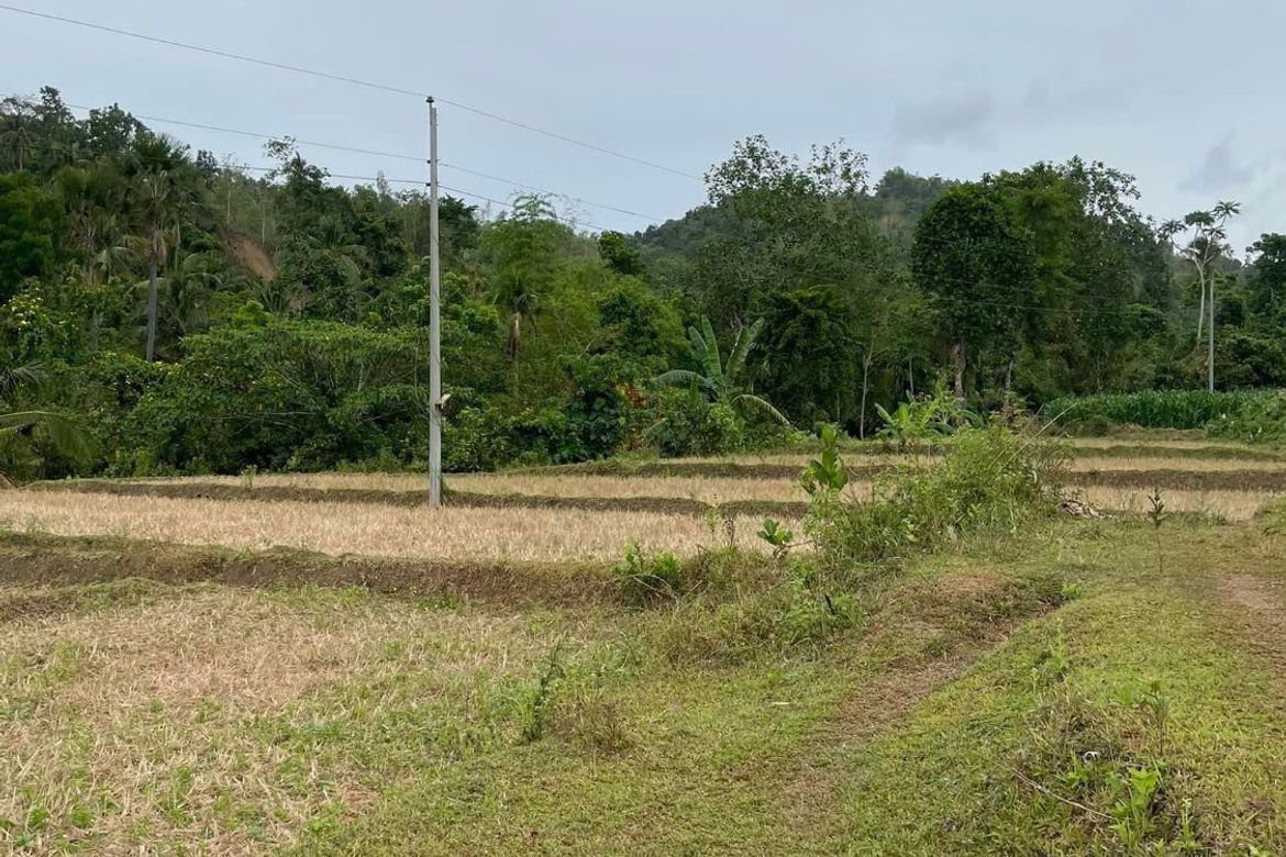 Land for Sale in Botbot, Hamtic, Antique – photo 4