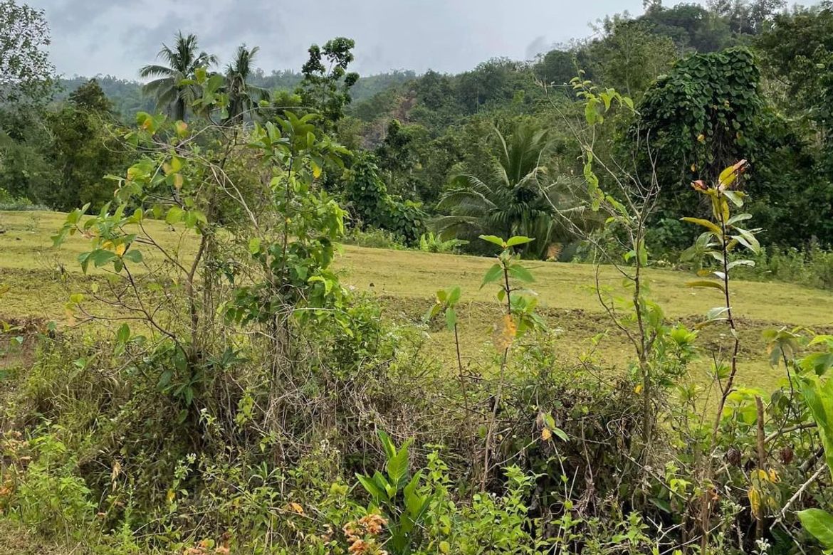 Land for Sale in Botbot, Hamtic, Antique – photo 6