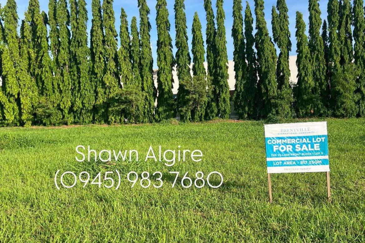 Land for Sale in Brentville International Community, Mampalasan, Biñan, Laguna – photo 6