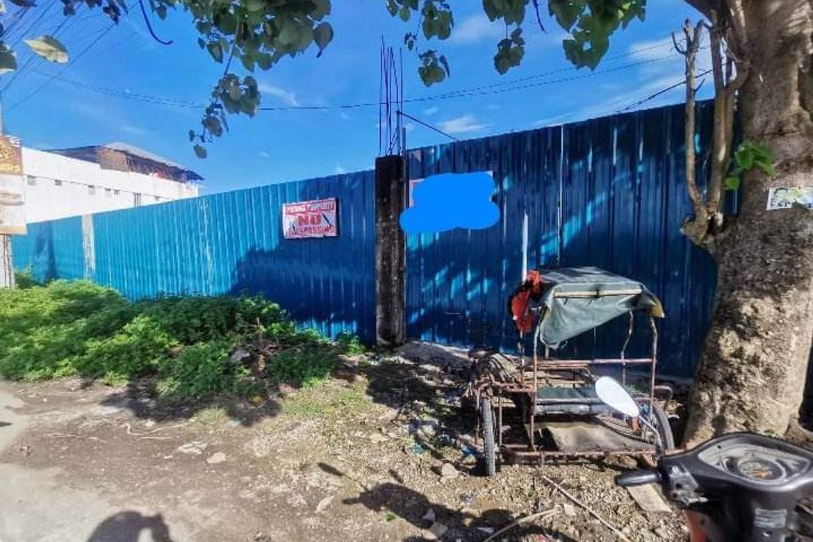 Land for Sale in Buaya, Lapu-Lapu, Cebu – photo 6