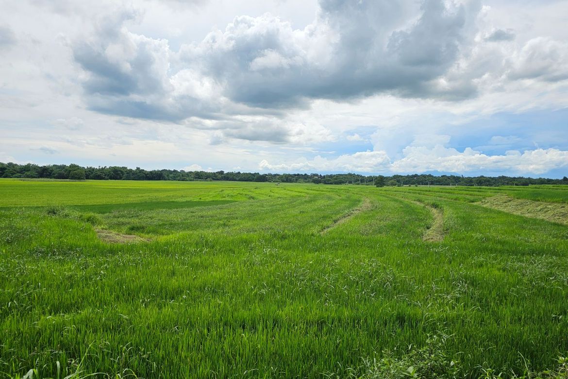 Land for Sale in Bubulong Malaki, San Ildefonso, Bulacan