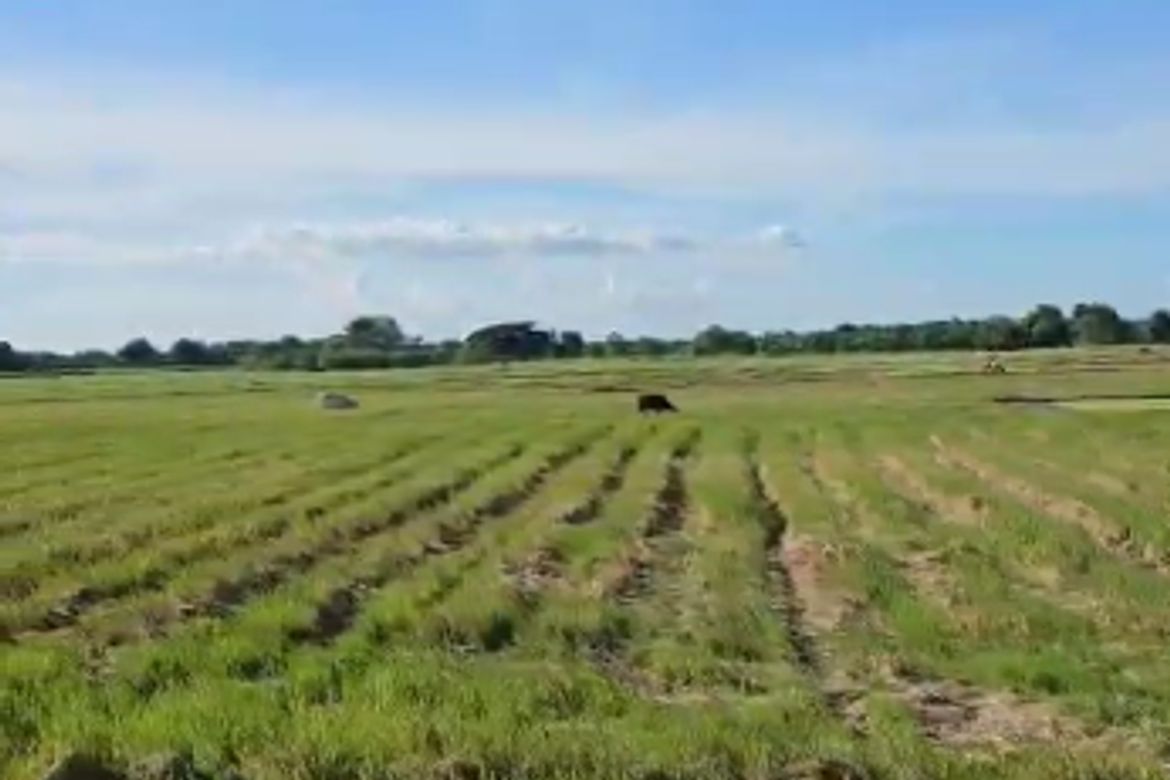 Land for Sale in Bubulong Malaki, San Ildefonso, Bulacan – photo 3