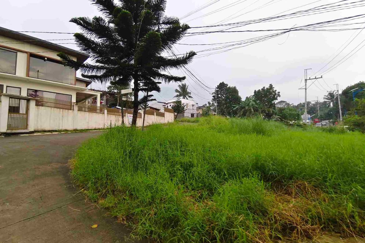Land for Sale in Bucal, Amadeo, Cavite – photo 3