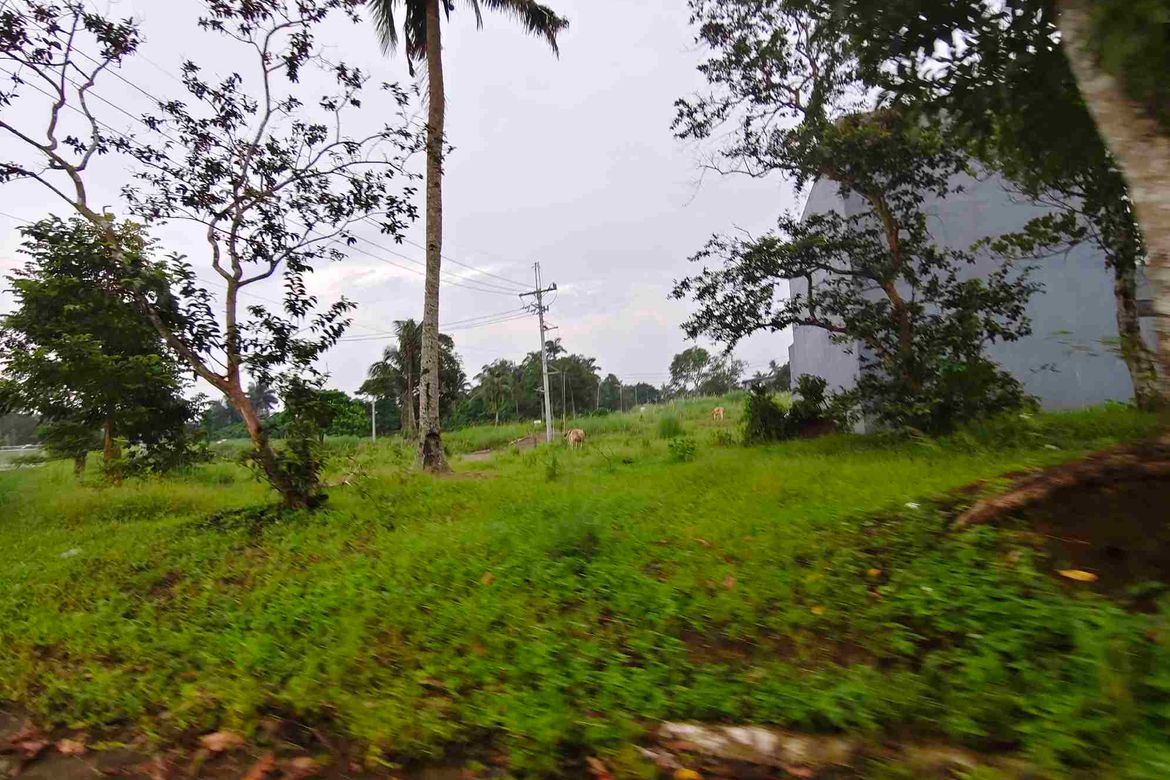 Land for Sale in Bucal, Amadeo, Cavite – photo 5
