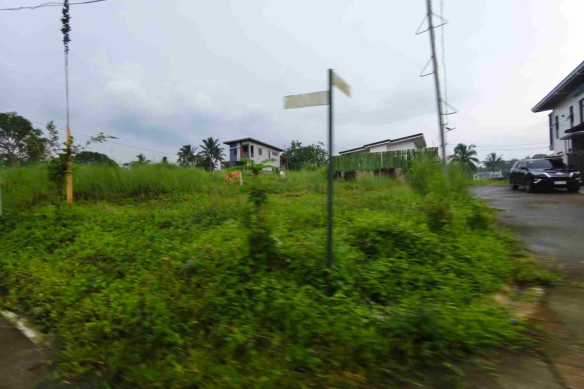 Land for Sale in Bucal, Amadeo, Cavite – photo 6