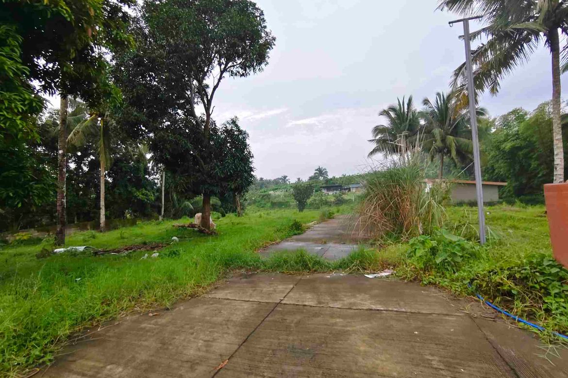 Land for Sale in Bucal, Amadeo, Cavite – photo 8