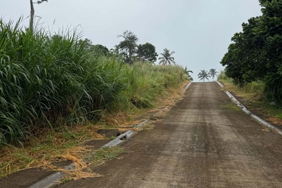 Land for Sale in Bucal, Amadeo, Cavite – photo 3
