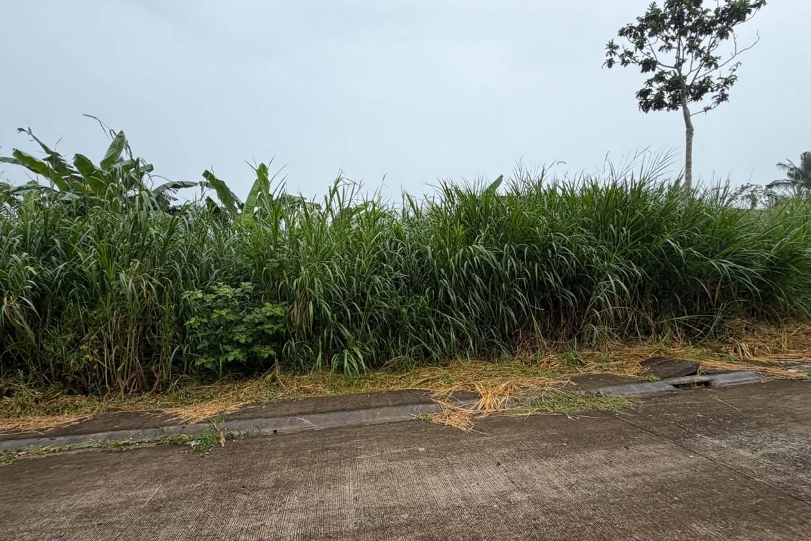 Land for Sale in Bucal, Amadeo, Cavite – photo 8