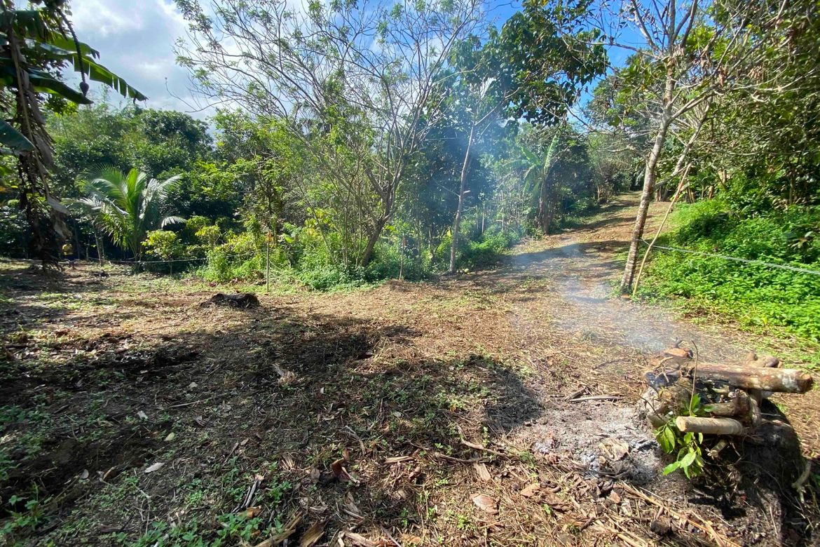 Land for Sale in Bucal, Amadeo, Cavite