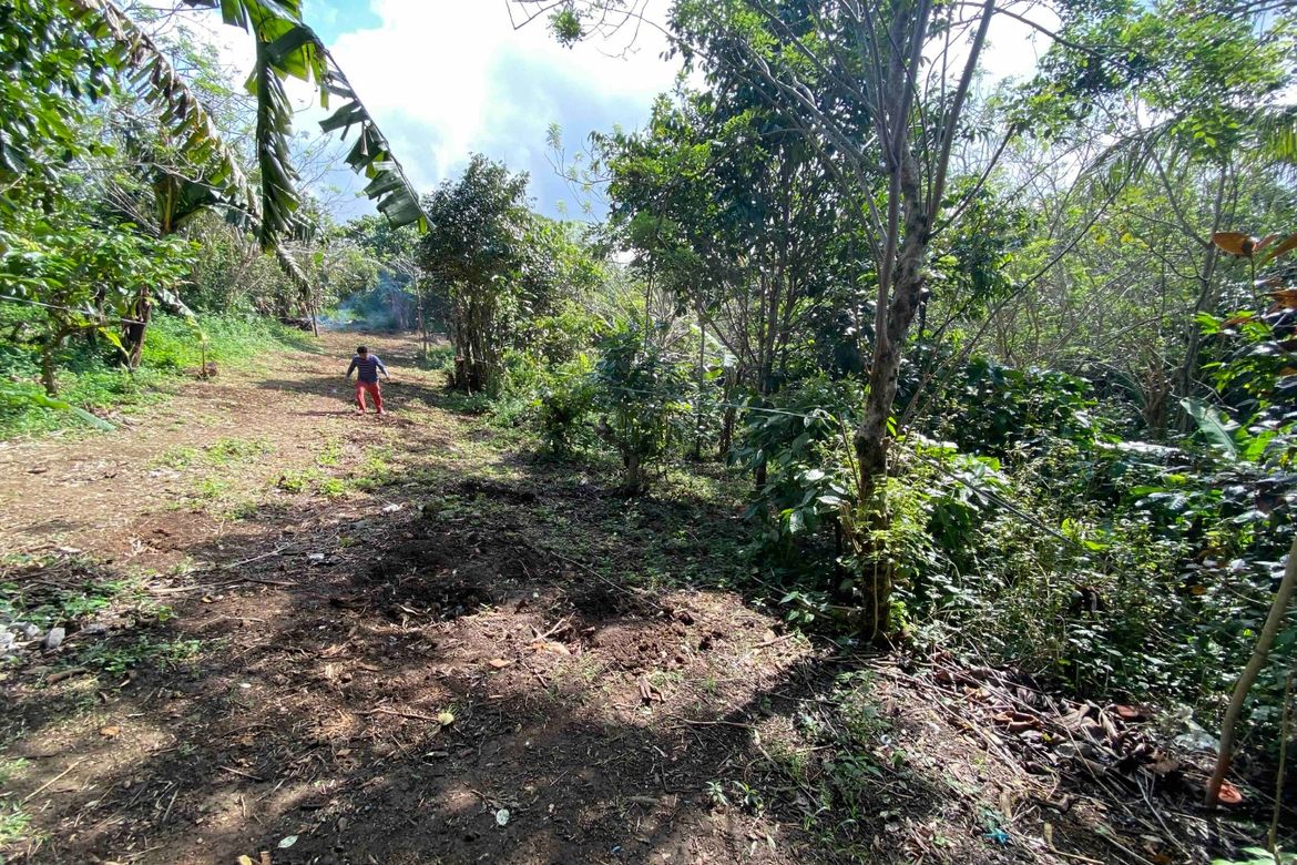 Land for Sale in Bucal, Amadeo, Cavite – photo 2