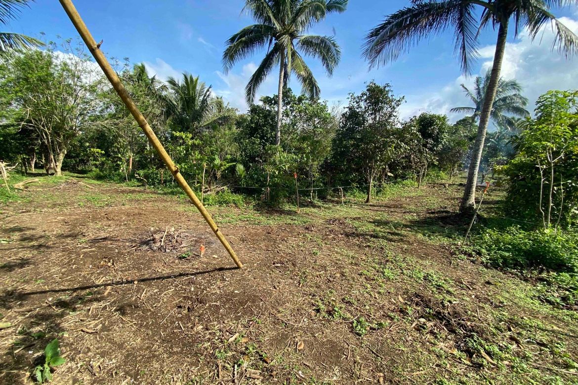 Land for Sale in Bucal, Amadeo, Cavite – photo 3