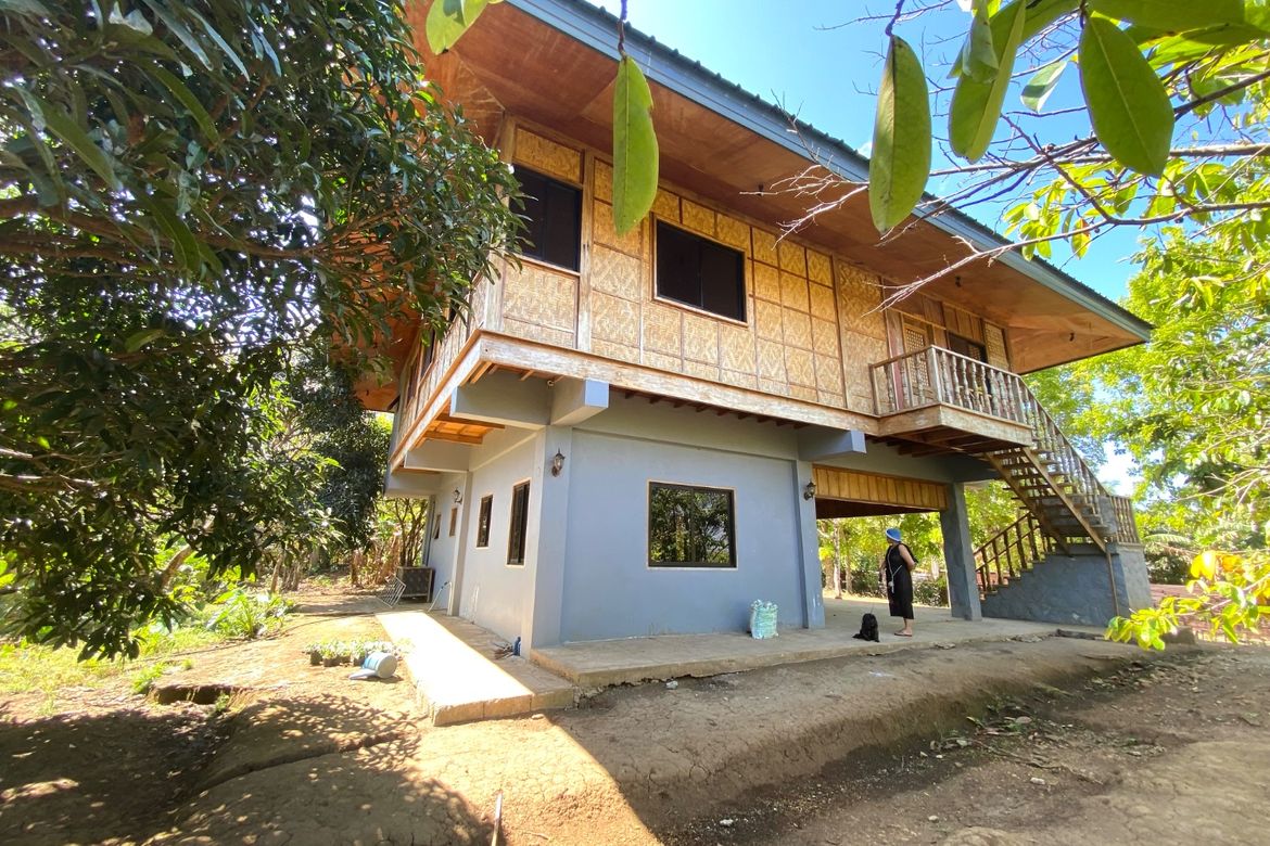 Land for Sale in Bucal, Amadeo, Cavite – photo 3