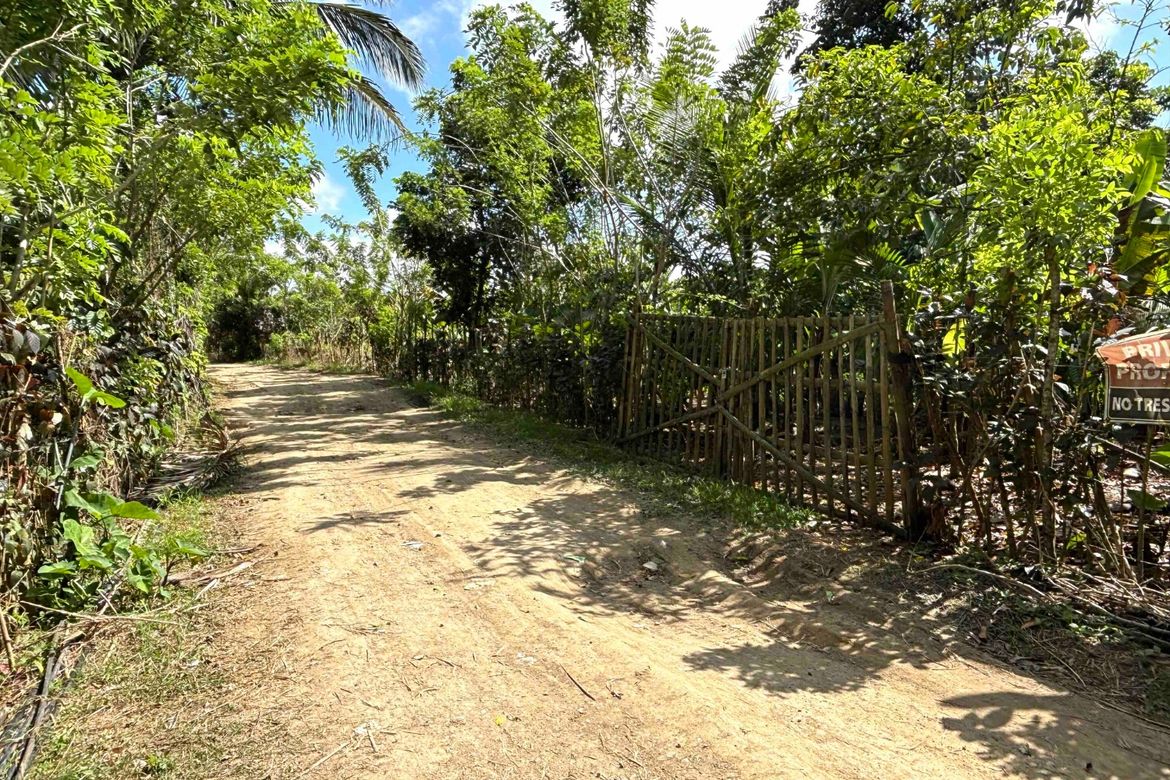 Land for Sale in Bucal, Amadeo, Cavite