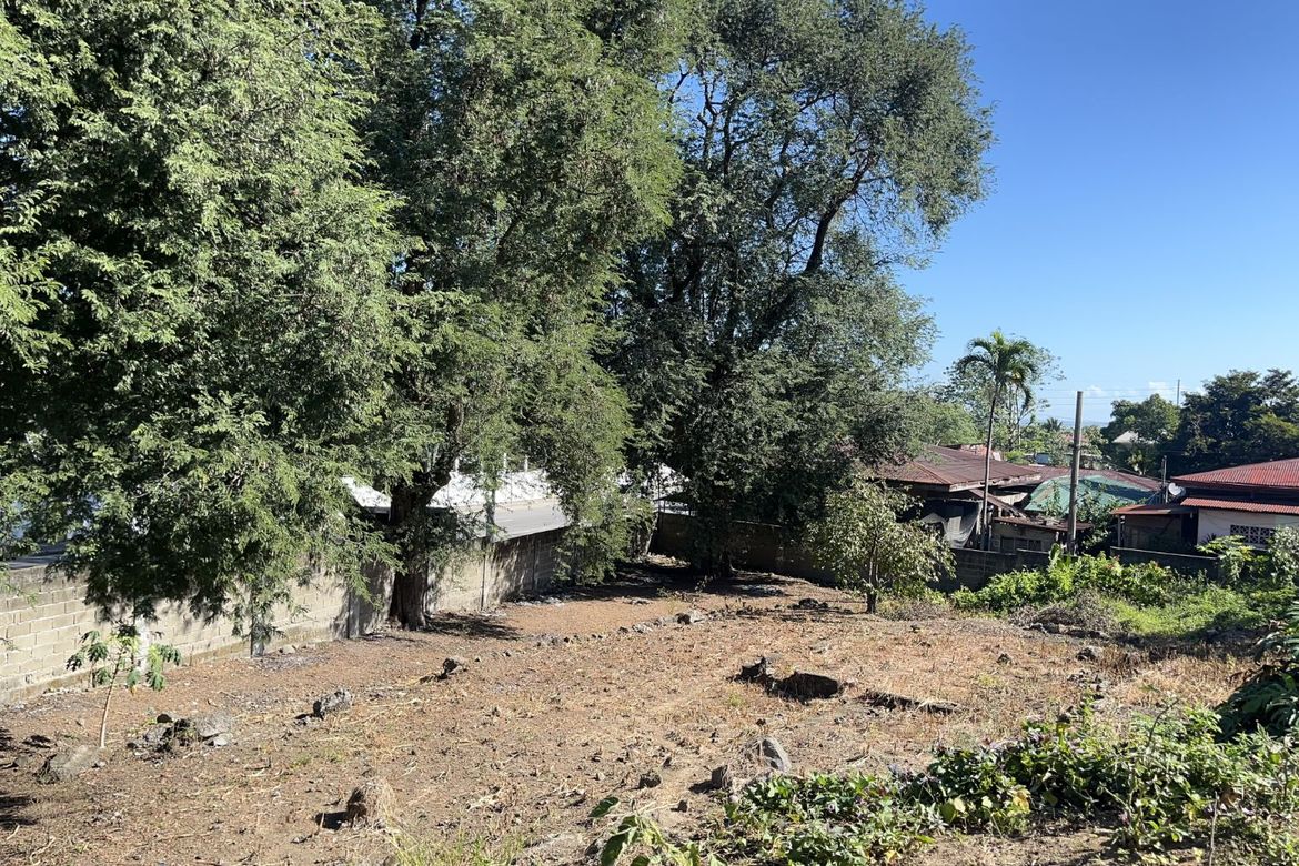 Land for Sale in Bucal, Calamba, Laguna – photo 2