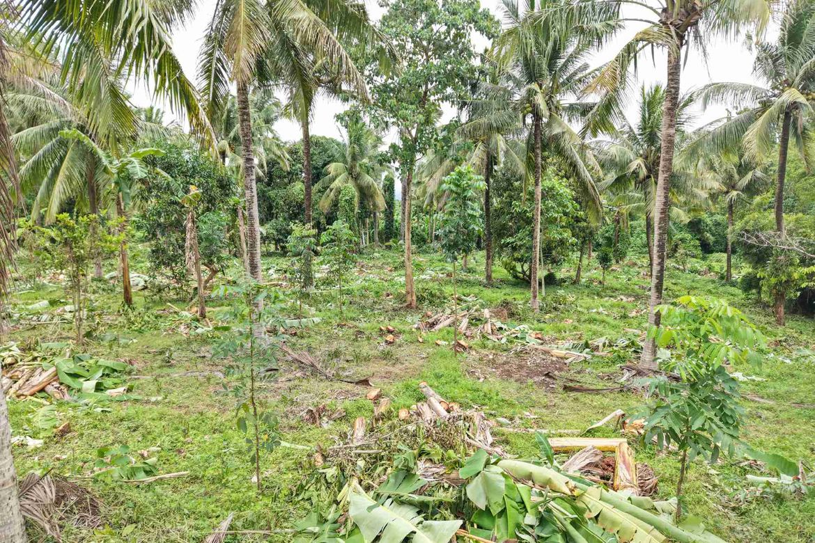 Land for Sale in Bucal, Sariaya, Quezon – photo 2