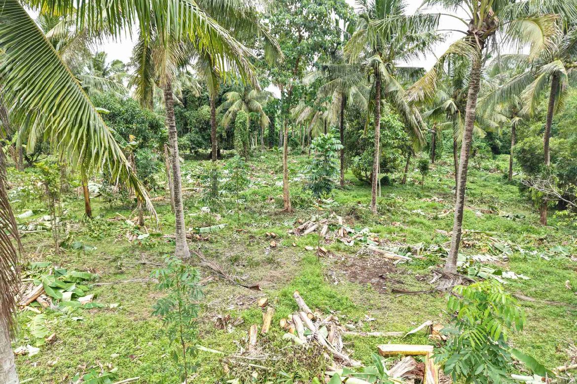 Land for Sale in Bucal, Sariaya, Quezon – photo 3