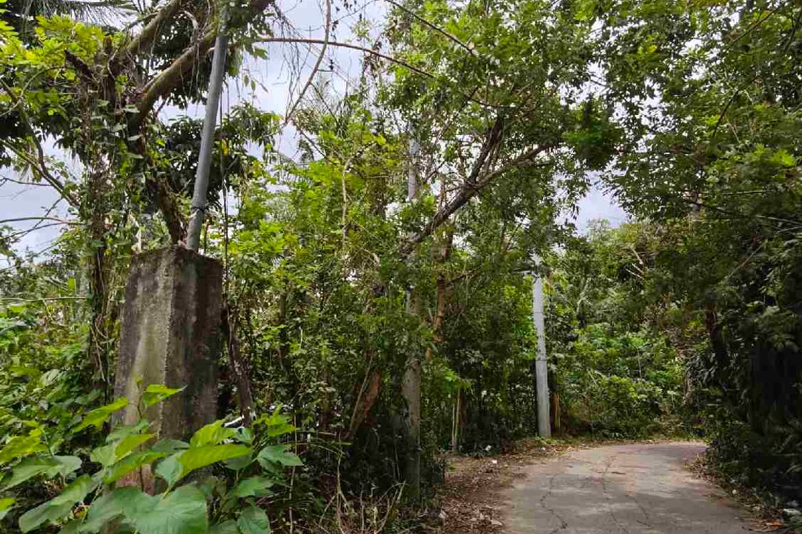 Land for Sale in Bucal, Sariaya, Quezon – photo 4